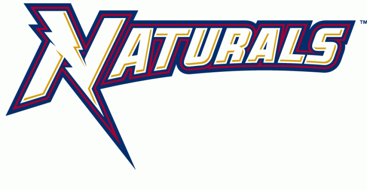 Northwest Arkansas Naturals 2008-Pres Wordmark Logo vinyl decal